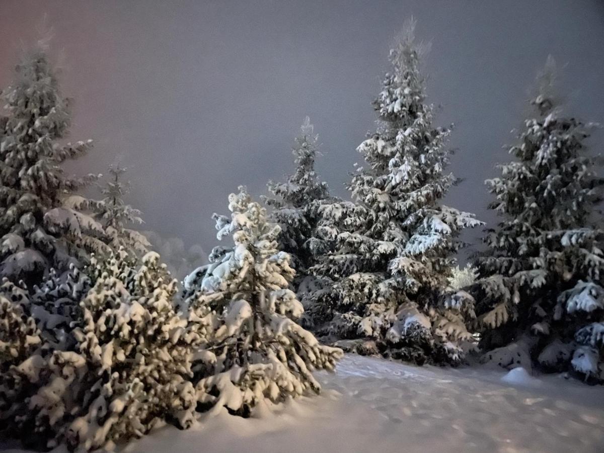 Chalet Ro Peştera Eksteriør billede
