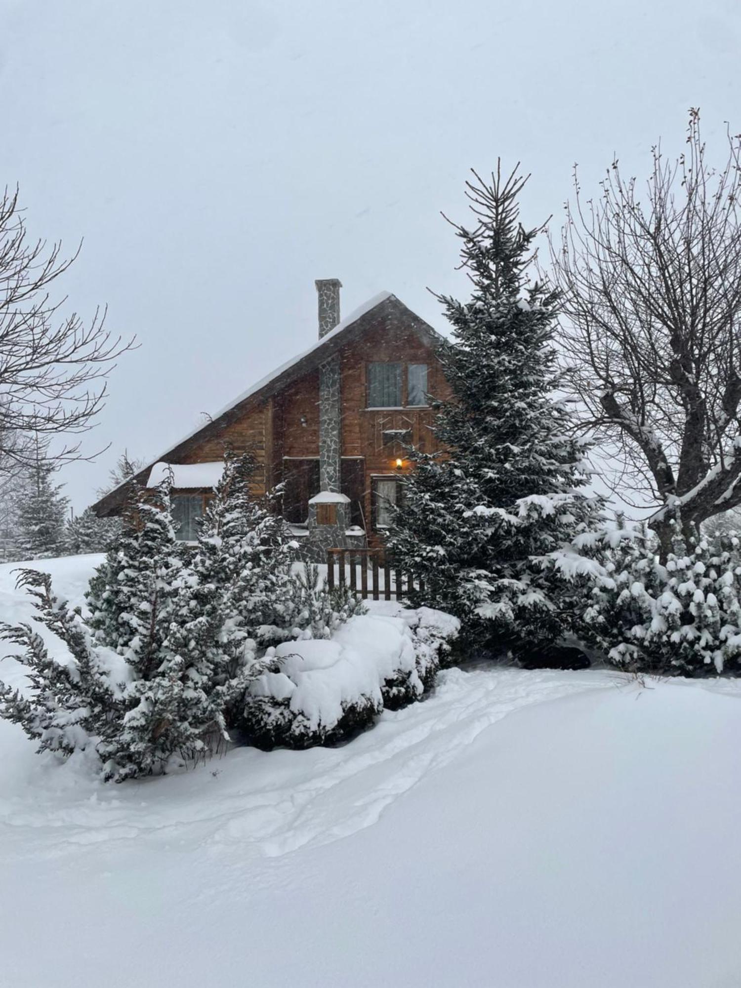 Chalet Ro Peştera Eksteriør billede